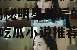 有关娱乐圈吃瓜小说推荐,揭秘明星背后的秘密，吃瓜小说推荐盘点