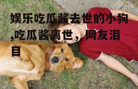 娱乐吃瓜酱去世的小狗,吃瓜酱离世，网友泪目
