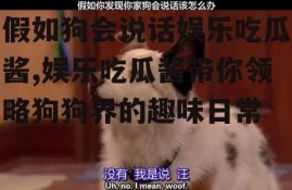 假如狗会说话娱乐吃瓜酱,娱乐吃瓜酱带你领略狗狗界的趣味日常