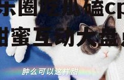 娱乐圈吃瓜磕cp,CP甜蜜互动大盘点