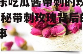 娱乐吃瓜酱带刺的玫瑰,揭秘带刺玫瑰背后的故事