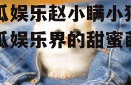 吃瓜娱乐赵小瞒小猫,吃瓜娱乐界的甜蜜萌宠