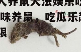 穷人养鼠大法娱乐吃瓜,趣味养鼠，吃瓜乐趣无限