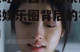 娱乐吃瓜酱什么系的,揭秘娱乐圈背后的神秘势力