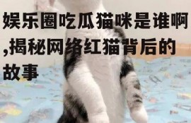 娱乐圈吃瓜猫咪是谁啊,揭秘网络红猫背后的故事