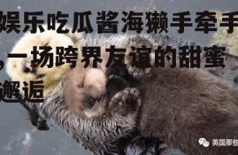 娱乐吃瓜酱海獭手牵手,一场跨界友谊的甜蜜邂逅