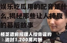 娱乐吃瓜用的配音是什么,揭秘那些让人捧腹的幕后故事