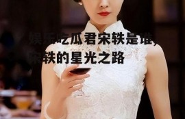 娱乐吃瓜君宋轶是谁,宋轶的星光之路