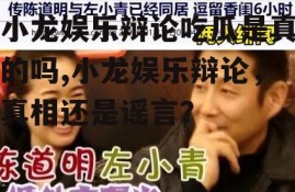 小龙娱乐辩论吃瓜是真的吗,小龙娱乐辩论，真相还是谣言？