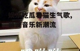 娱乐吃瓜君猫生气歌,萌宠音乐新潮流
