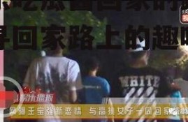 娱乐吃瓜酱回家的路,探寻回家路上的趣味瞬间