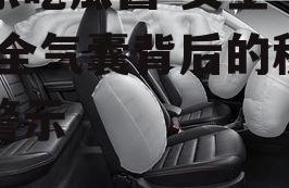 娱乐吃瓜酱 安全气囊,安全气囊背后的秘密与警示