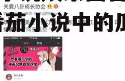 吃瓜小说娱乐圈番茄小说,番茄小说中的瓜田盛宴