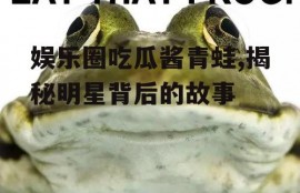 娱乐圈吃瓜酱青蛙,揭秘明星背后的故事