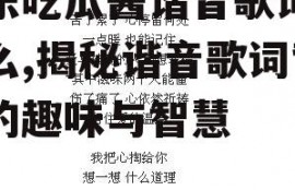 娱乐吃瓜酱谐音歌词是什么,揭秘谐音歌词背后的趣味与智慧