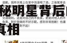 娱乐圈吃瓜双人解说文案,揭秘明星背后的故事与真相