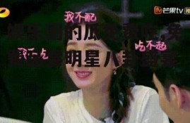 娱乐圈的瓜免费吃,免费品尝明星八卦盛宴