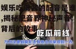 娱乐吃瓜酱的配音是谁,揭秘配音界神秘声音背后的故事