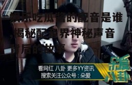 娱乐吃瓜酱的配音是谁,揭秘配音界神秘声音背后的故事