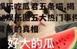 娱乐吃瓜君五条喵,揭秘娱乐圈五大热门事件背后的真相