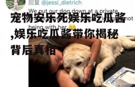 宠物安乐死娱乐吃瓜酱,娱乐吃瓜酱带你揭秘背后真相
