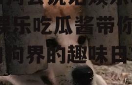 假如狗会说话娱乐吃瓜酱,娱乐吃瓜酱带你领略狗狗界的趣味日常