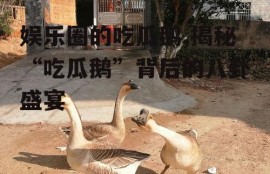 娱乐圈的吃瓜鹅,揭秘“吃瓜鹅”背后的八卦盛宴