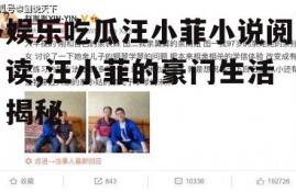 娱乐吃瓜汪小菲小说阅读,汪小菲的豪门生活揭秘