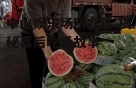 中山娱乐场所吃瓜,揭秘幕后吃瓜故事