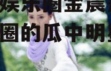 吃瓜娱乐圈金晨是谁,娱乐圈的瓜中明星