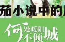 吃瓜小说娱乐圈番茄小说,番茄小说中的瓜田盛宴