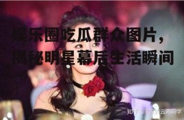娱乐圈吃瓜群众图片,揭秘明星幕后生活瞬间