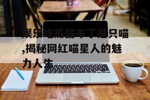 娱乐吃瓜酱布丁是只喵,揭秘网红喵星人的魅力人生